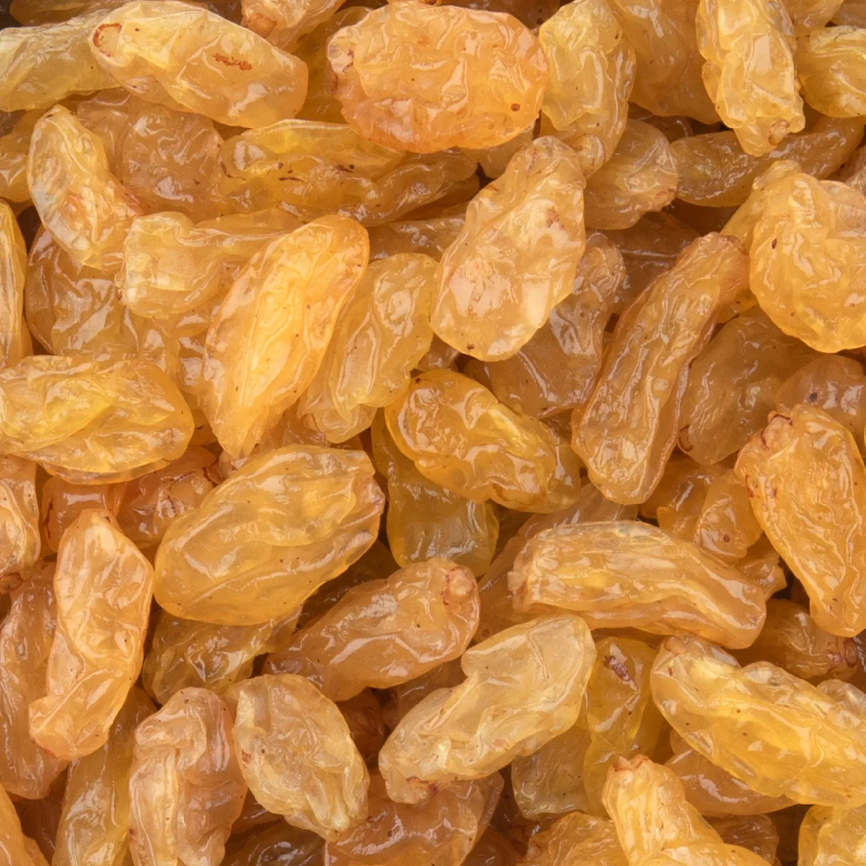 No.1 raisins supplier in india